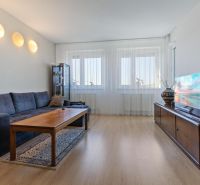 Living room in a two-room apartment with a sofa, table, and wooden decor flooring.