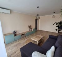 Living room in a three-room apartment with a wooden decor floor and a gray sofa.