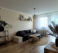 Living room in a 3-room apartment with a wooden decor floor, a sofa, and a window with delicate curtains.