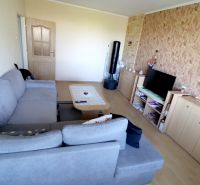 Living room in a two-room apartment with a gray sofa, television, and wooden decor flooring.