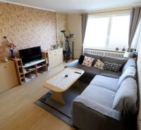 Living room in a two-room apartment with a sofa and furniture, floor with wood decor.