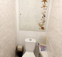 A bathroom in a 2-room apartment with seashell decorations on the wall.