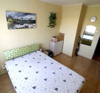 A bedroom with a mirror, a dresser, and a wooden decor floor in a two-room apartment.