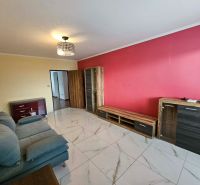 Living room in a three-room apartment with a striking red wall and a sofa.