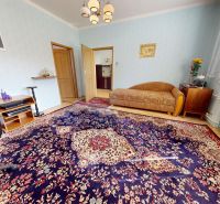 Living room with a carpet and an armchair, family house, wooden decor flooring.