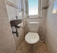 Bathroom in a family house with a toilet, a small sink, and tiled walls.