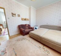 A room in a family house with a sofa, bed, carpet, and wooden decor flooring.