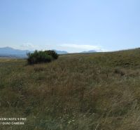 IMG_20220816_101019.jpg