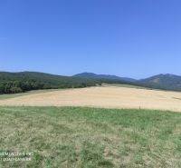 IMG_20220816_101727.jpg