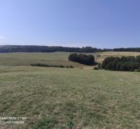 IMG_20220816_101723.jpg