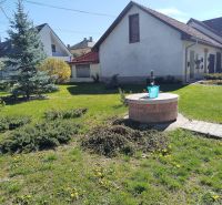 A garden at a family house in Martin with a lawn, trees, and a well.