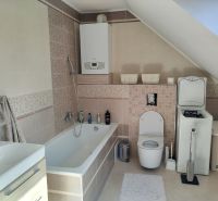 A bathroom in a family house with a bathtub, toilet, and washing machine under a sloping roof.