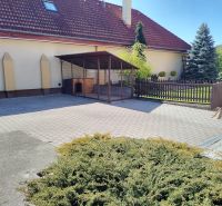 The courtyard of a family house in Martin with space for a dog and greenery.