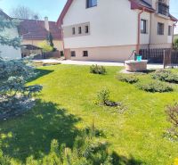 A family house in Martin with a lawn, a pine tree, and a well in the garden.