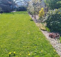 The garden of a family house in Martin with a lawn and shrubs planted along a gravel path.