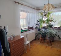 A room in a family house with lots of plants and furniture, a floor with a wooden decor.