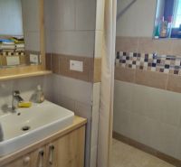 Bathroom with a sink, a cabinet with a wooden decor, and a shower in a family house.
