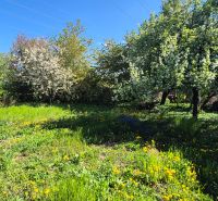 Gardens full of flowers and blooming trees on Vodná Street in Nitra.