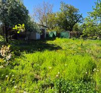 Gardens on Vodná Street in Nitra with blooming trees and grass.