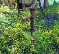 Gardens on Vodná Street in Nitra showcase an old water pump among flowers and greenery.