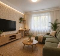 Living room of a 3-room apartment with a wooden decor floor, green sofa, and brick wall.