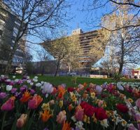 A flower bed in Bratislava - Staré Mesto on Tabaková Street with a dominant unconventional architectural feature.