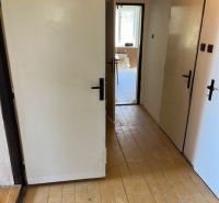 A hallway in a family house with a wooden floor and classic interior doors.