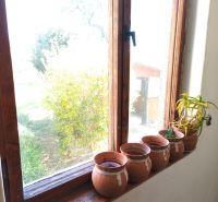 A clay pot and a plant on the windowsill in a family house.