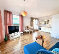 Open living room with kitchen in a 2-room apartment, floor with wooden decor.