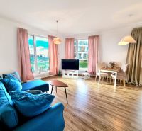 Living room in a two-room apartment with a blue sofa and a wooden decor floor.