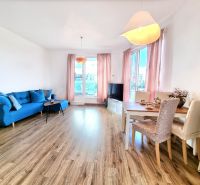 A bright living room with a blue sofa, dining table, and wood-patterned flooring.