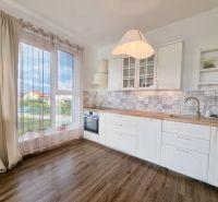 Kitchen of a two-room apartment with white cabinets and wood-patterned flooring.