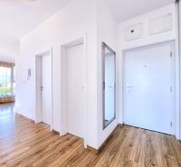 Interior of a 2-room apartment with a wooden decor floor and a mirror on the wall.