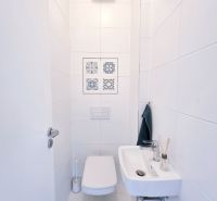 Bathroom with toilet and decorative tiles in a 2-room apartment.