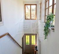 A staircase with a plant in a family house, windows provide a view of the garden.