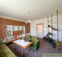 Living room in a family house with a rich library, green furniture, and plants.