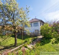 A blooming tree by a family house in Kriváň with a landscaped garden and a fence.