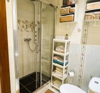 Bathroom with a shower and toilet in a 3-room apartment, shelves with stored accessories.