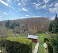A cottage in Svinica surrounded by nature with a view of the forest and blue sky.