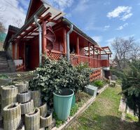 Wooden cottage in Svinica with a terrace, garden, and outdoor staircase on a green area.