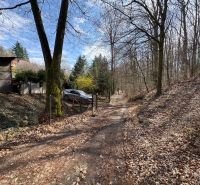A cottage in Svinica surrounded by forest and a dusty road in a quiet place.