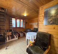 The interior of the cottage features wooden paneling, a sofa bed, and a ladder to the upper floor.