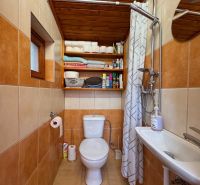 A bathroom in a cabin with a wooden ceiling, a shower, a toilet, and a shelf with towels.