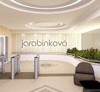 Jarabin_1_Vstup_recepcia_viz_1.png