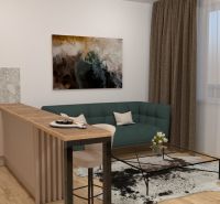 Living room with a kitchenette in a 2-room apartment, wooden decor flooring, sofa, and painting.