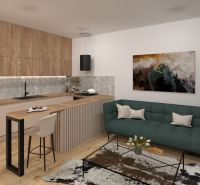 Living room in a two-room apartment with a kitchenette and a wooden decor floor.