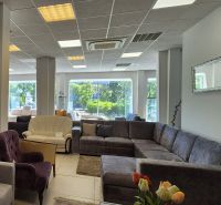 Interior of commercial spaces with sofas and armchairs on a floor with wooden decor.