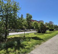 Greenery and trees along Račianska 99 Street in Bratislava - Nové Mesto.
