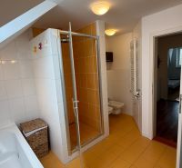 A bathroom in a family house with a bathtub, shower, and orange tiles.