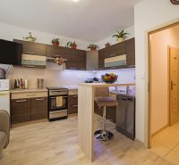 A kitchen in a studio apartment with a wooden decor floor and modern equipment.